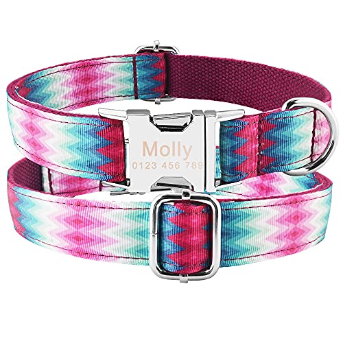 EUSFIYY Hundeleine Benutzerdefinierte Hundehalsbänder Nylon Personalisierte Hundemarke für kleine mittelgroße Hunde Pitbull Bulldog Möpse Beagle-Purple_Collar_L von EUSFIYY