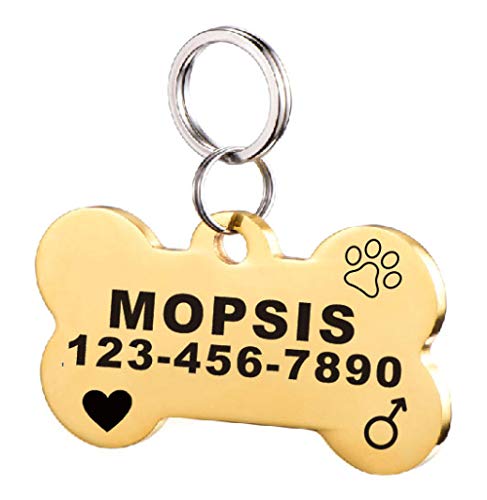 EUSFIYY Namensschild Hundemarke Hundemarke Edelstahl für kleine Katze personalisierte personalisierte Tiername ID-Tag für das Haustier Welpen Kätzchen Tags-Bone-Sliver-S von EUSFIYY