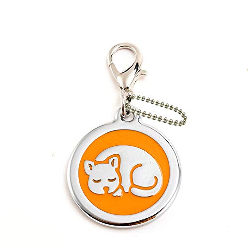 EUSFIYY Namensschild Hundemarke Individuelle Hundemarke Personalisierte Hundehalsband Welpen Katze ID Halsband Tags Edelstahl Haustier Zubehör für kleine Hunde Katze-E5-Orange-Angepasst von EUSFIYY