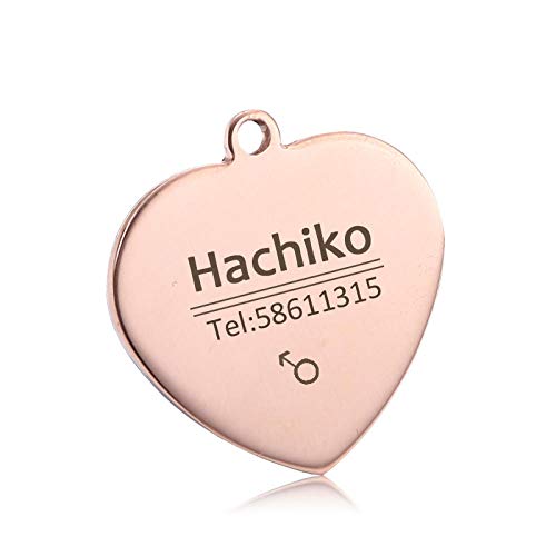 EUSFIYY Namensschild Hundemarke Personalisierte Hunde-ID-Tags Katzen-ID-Tag Name Hundeknochen Halskette Graviert Roségold Silber oder Schwarz Edelstahl-5-S von EUSFIYY