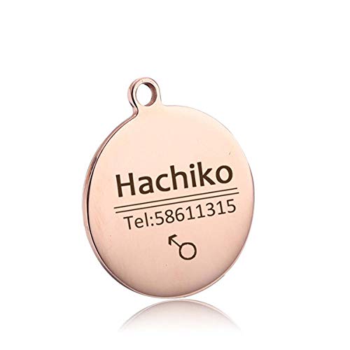 EUSFIYY Namensschild Hundemarke Personalisierte Hunde-ID-Tags Katzen-ID-Tag Name Hundeknochen Halskette Gravierte Rose Gold Silber oder Schwarz Edelstahl-12-L von EUSFIYY