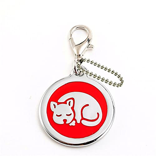 EUSFIYY Namensschild Hundemarke Personalisierte Hundemarke Personalisierte Hundehalsband Welpen Katze ID Halsband Tags Edelstahl Haustier Zubehör für kleine Hunde Katze-E1-Rot-Angepasst von EUSFIYY