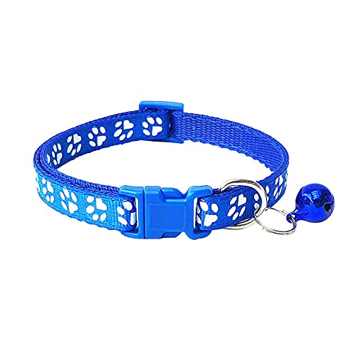 EUSFIYY Nylon Hundehalsband Personalisierte Benutzerdefinierte ID Katzenhalsband Name Welpenhalsband Für Hund Anti-Lost Pet Collar -Blau von EUSFIYY