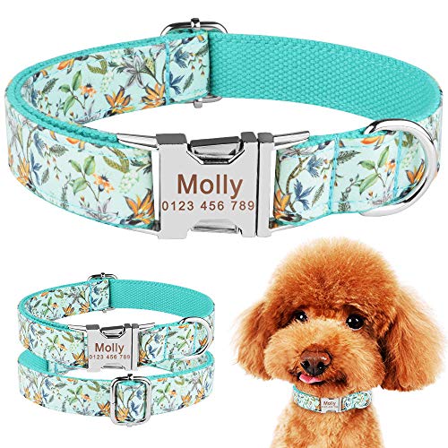 EUSFIYY Nylon personalisiertes Hundehalsband Individuell gravierte kleine mittelgroße Hunde Welpen Haustier-M (31-35 cm) __ von EUSFIYY