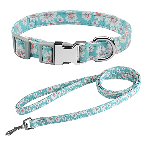 EUSFIYY Personalisierte Hundehalsbänder Set Nylon Tag Halsband Leine Blei für kleine mittelgroße Hunde Pitbull Bulldog Möpse Beagle Custom-Set_L__ von EUSFIYY