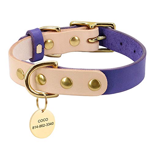 EUSFIYY Personalisierte Leder Haustier Hundehalsband Benutzerdefinierte Hund Katzenhalsband Gravierte Hundename ID Tags für kleine mittlere Hunde Chihuahua Yorkshire-Purple_M von EUSFIYY