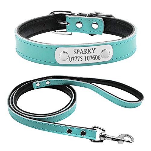 EUSFIYY Personalisierte gravierte Hundehalsband Leine Set Customized Name Telefon ID Halsbänder Customized für kleine mittelgroße Hunde Cat-Blue_M von EUSFIYY