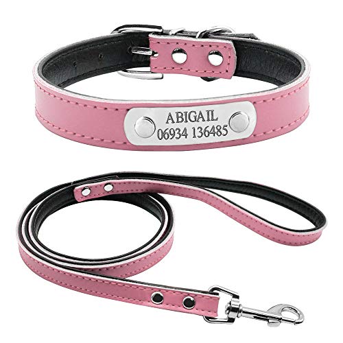 EUSFIYY Personalisierte gravierte Hundehalsband Leine Set Customized Name Telefon ID Halsbänder Customized für kleine mittelgroße Hunde Cat-Pink_M von EUSFIYY