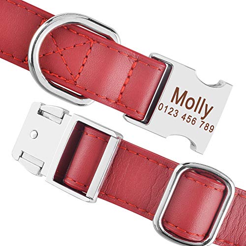 EUSFIYY Personalisiertes Hundehalsband Benutzerdefinierte gravierte Welpen-ID Namensschild Schnalle Graues Halsband SL-Red_S_22-33cm von EUSFIYY