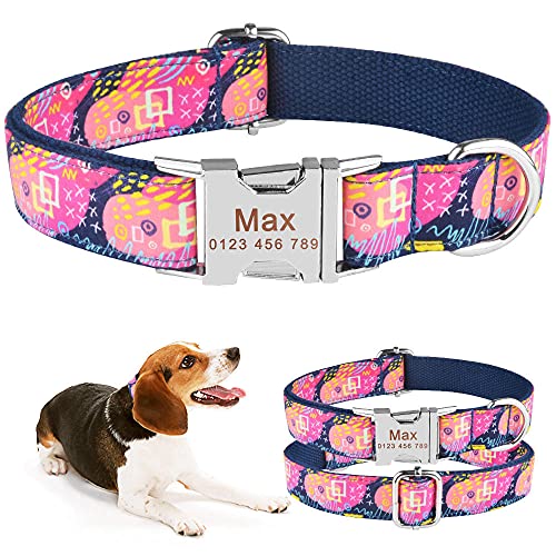 EUSFIYY Personalisiertes Hundehalsband Nylon Verstellbarer gravierter Name Kleines großes Haustier-M (31-35 cm) _ von EUSFIYY