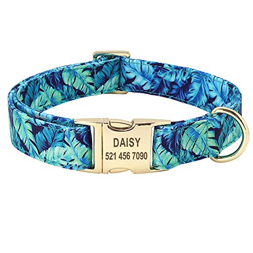 EUSFIYY Personalisiertes gedrucktes Hundehalsband-Leinen- Set Individuelles Nylon-Haustierhalsband-Leine Graviertes Typenschild für kleine mittelgroße große Hunde-Blue_Collar_L von EUSFIYY