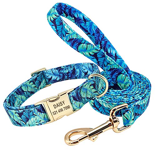 EUSFIYY Personalisiertes gedrucktes Hundehalsband-Leinen- Set Individuelles Nylon-Haustierhalsband-Leine Graviertes Typenschild für kleine mittelgroße große Hunde-Blue_Set_L von EUSFIYY