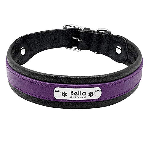 EUSFIYY TypePersonalized Hundehalsband Leder Customized Engraved Pet Big Dog Bulldog Halsbänder Gepolstert für kleine mittelgroße Hunde -Purple_XL von EUSFIYY