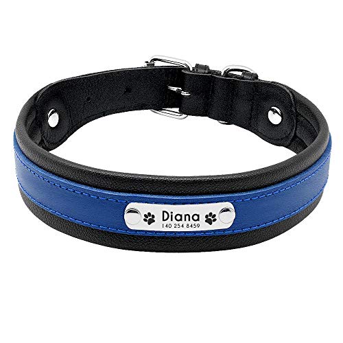 EUSFIYY TypePersonalized Hundehalsband Leder Customized Gravierte Pet Big Dog Bulldog Halsbänder Gepolstert für kleine mittelgroße Hunde -Blue_L von EUSFIYY