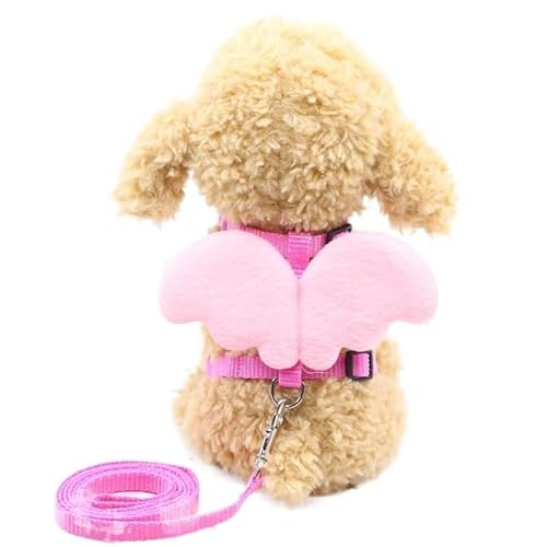 Hundegeschirr, süßes Hundegeschirr mit Engelsflügeln, atmungsaktives Netz-Leinen-Set für kleine Hunde, Welpen, Brusthalsband, Frühlings- und Sommerhund (Pink_B S1,5_3 kg) von EUTYRG