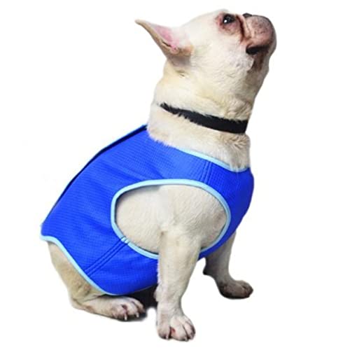 Kühlende Hundekleidung für große und mittelgroße Hunde, Journey-Shirt, Hundejacken für den Sommer, Bandana-Shirt, Kühlweste für Hunde, S (Blau, XS) von EUTYRG