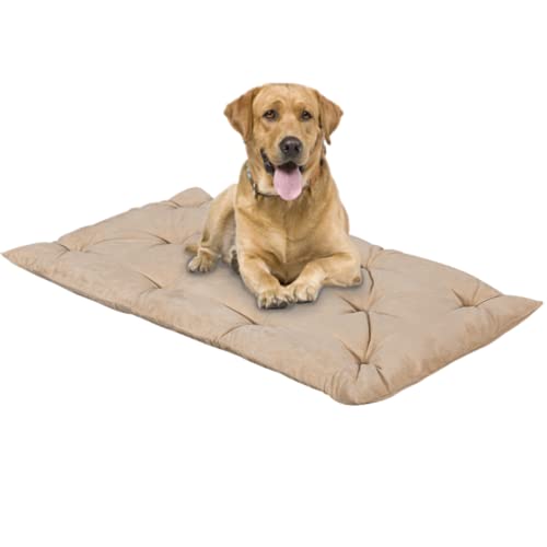 EVERGREENWEB Matratze für Hunde 45x65 cm Hoch 8 cm WASCHBAR in der Waschmaschine, Orthopädisches Kissen Aus Waterfoam Weiche Polsterung Federeffekt | BEIGE von EVERGREENWEB MATERASSI & BEDS