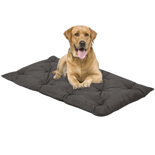 EVERGREENWEB Matratze für Hunde 45x65 cm Hoch 8 cm WASCHBAR in der Waschmaschine, Orthopädisches Kissen Aus Waterfoam Weiche Polsterung Federeffekt | GRAU von EVERGREENWEB MATERASSI & BEDS