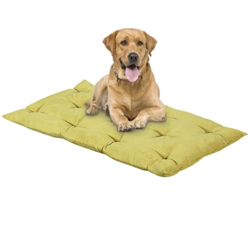 EVERGREENWEB Matratze für Hunde 45x65 cm Hoch 8 cm WASCHBAR in der Waschmaschine, Orthopädisches Kissen Aus Waterfoam Weiche Polsterung Federeffekt | GRÜN von EVERGREENWEB MATERASSI & BEDS