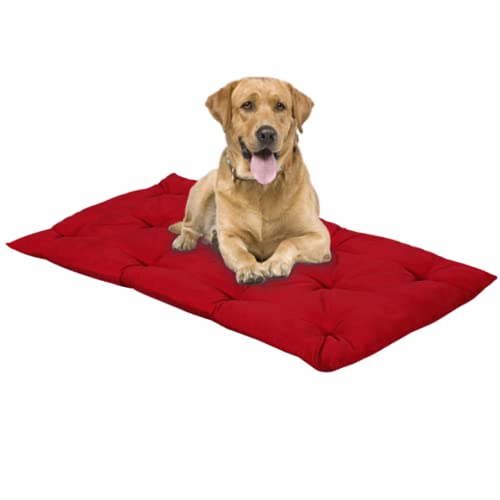 EVERGREENWEB Matratze für Hunde 45x65 cm Hoch 8 cm WASCHBAR in der Waschmaschine, Orthopädisches Kissen Aus Waterfoam Weiche Polsterung Federeffekt | ROT von EVERGREENWEB MATERASSI & BEDS