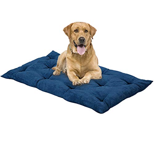 EVERGREENWEB Matratze für Hunde 65x85 cm Hoch 8 cm WASCHBAR in der Waschmaschine, Orthopädisches Kissen Aus Waterfoam Weiche Polsterung Federeffekt | BLAU von EVERGREENWEB MATERASSI & BEDS