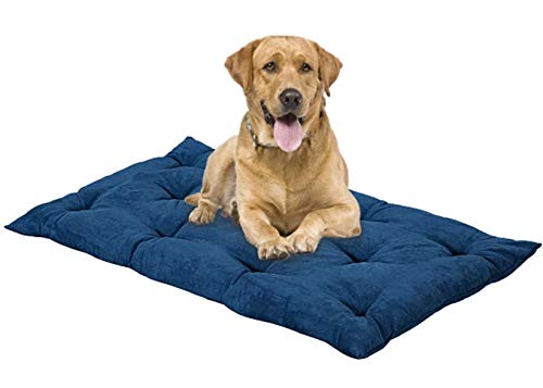 EVERGREENWEB Matratze für Hunde 90x115 cm Hoch 8 cm WASCHBAR in der Waschmaschine, Orthopädisches Kissen Aus Waterfoam Weiche Polsterung Federeffekt | BLAU von EVERGREENWEB MATERASSI & BEDS