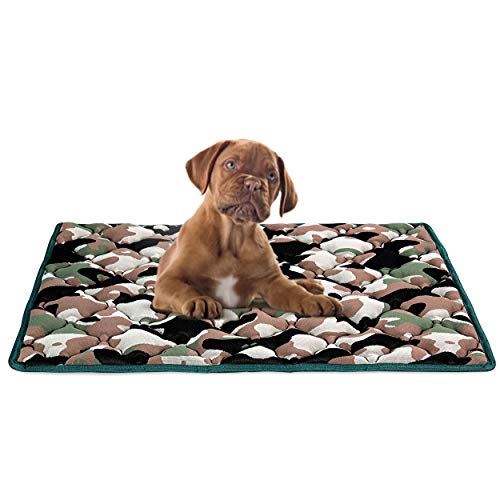 EVERGREENWEB Matratze für Hundebett oder Katze 45 x 65 cm Matte 10 cm hoch, weiche Polsterung, Innenschicht aus Waterfoam, Bezug mit Air Space, Abnehmbar Und Waschbar von EVERGREENWEB MATERASSI & BEDS