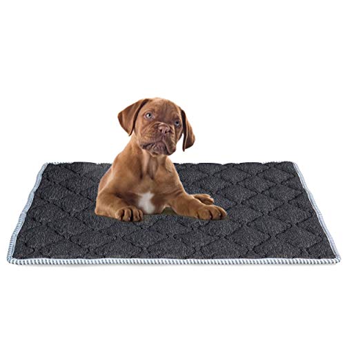 EVERGREENWEB Matratze für Hundebett oder Katze 65 x 85 cm, Matte 10 cm hoch, weiche Polsterung, Innenschicht aus Waterfoam, Bezug mit Air Space, Abnehmbar Und Waschbar von EVERGREENWEB MATERASSI & BEDS