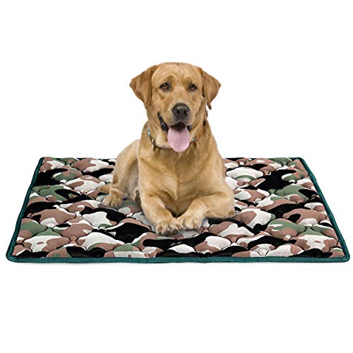 EVERGREENWEB Matratze für Hundebett oder Katze 90 x 115 cm, Matte 10 cm hoch, weiche Polsterung, Innenschicht aus Waterfoam, Bezug mit Air Space, Abnehmbar Und Waschbar von EVERGREENWEB MATERASSI & BEDS