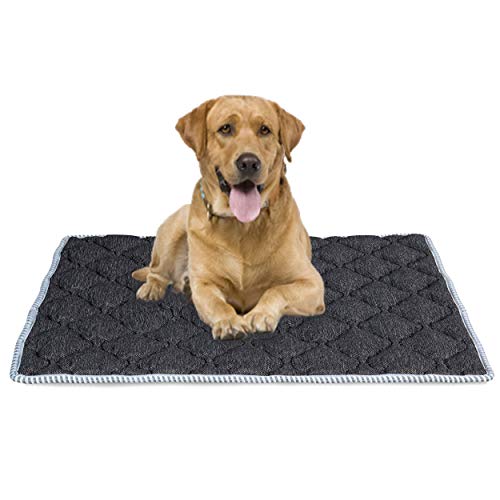 EVERGREENWEB Matratze für Hundebett oder Katze 90 x 115 cm, Matte 10 cm hoch, weiche Polsterung, Innenschicht aus Waterfoam, Bezug mit Air Space, Abnehmbar Und Waschbar von EVERGREENWEB MATERASSI & BEDS