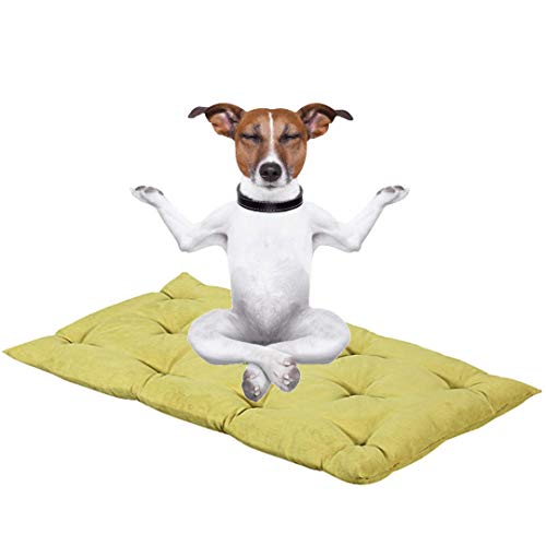 Evergreenweb Hundebett, 45 x 65 cm, Höhe 8 cm, waschbar, Mehrzweck-Matratze für Haustiere, orthopädisches Kissen aus Waterfoam, für Hundebett, Sofa, Füllung: 100 % Flocken-Effekt, grüner Stoff von EVERGREENWEB MATERASSI & BEDS