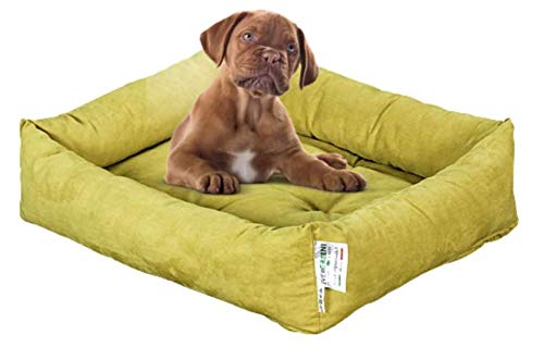 Evergreenweb Hundebett, 45 x 65 cm, kleine Größe, Füllung aus Waterfoam, weich, waschbar, mit abnehmbarem Kissenbezug, Matratze für Haustiere, Rex von EVERGREENWEB MATERASSI & BEDS