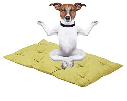 Evergreenweb Hundebett, 90 x 115 cm, Höhe 8 cm, waschbar, Mehrzweck-Matratze für Haustiere, orthopädisches Kissen aus Waterfoam, Hundebett, Sofa, Füllung: 100 % Flocken-Effekt, Grün von EVERGREENWEB MATERASSI & BEDS