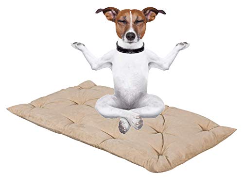 Evergreenweb Hundebett, 90 x 115 cm, Höhe 8 cm, waschbar, Mehrzweck-Matratze für Haustiere, orthopädisches Kissen aus Waterfoam, Hundebett, Teppich, Sofa, Füllung: 100 % Flocke, beige von EVERGREENWEB MATERASSI & BEDS