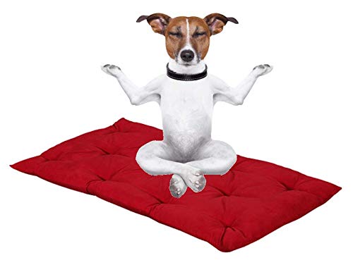 Evergreenweb – Hundebett 45 x 65 cm, Höhe 8 cm, waschbar, Mehrzweck-Matratze für Haustiere, orthopädisches Kissen aus Waterfoam, Hundebett, Sofa, Füllung: 100 % Flocke, Farbe: Rot von EVERGREENWEB MATERASSI & BEDS