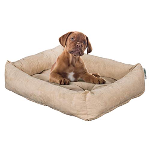 Evergreenweb Hundebett 45 x 65 cm, kleine Größe, Füllung aus Water, Dauneneffekt, waschbar, Innenbett mit abnehmbarem Kissen, für Haustiere, Rex Rex von EVERGREENWEB MATERASSI & BEDS