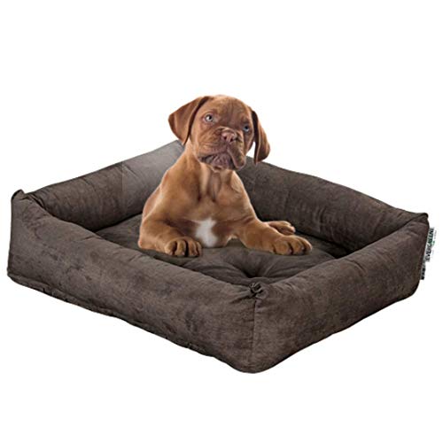 Evergreenweb Hundebett 45 x 65 cm, kleine Größe, Füllung aus Water, Dauneneffekt, waschbar, Innenbett mit abnehmbarem Kissen, für Haustiere, Rex Rex von EVERGREENWEB MATERASSI & BEDS