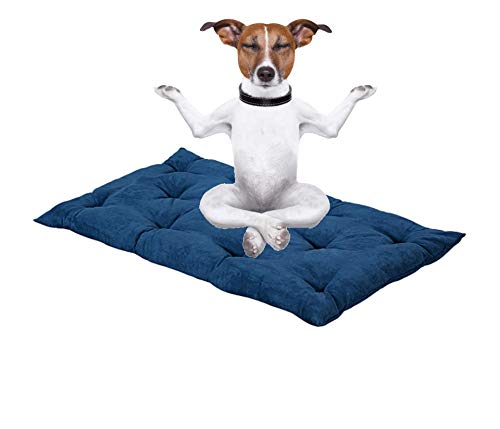 Evergreenweb – Hundebett 90 x 115 cm, Höhe 8 cm, waschbar, Mehrzweck-Matratze für Haustiere, orthopädisches Kissen aus Waterfoam, Hundebett, Sofa, Füllung: 100 % Schleife, Farbe: Blau von EVERGREENWEB MATERASSI & BEDS