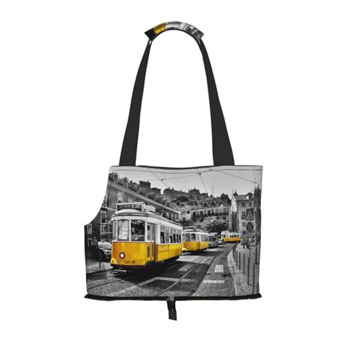 City Train Tragbare Haustiertragetasche, stylische Hundetasche & Katzen-Reisetasche, faltbare Haustierhandtasche für kleine Hunde, Katzen und andere kleine Haustiere von EVIUS