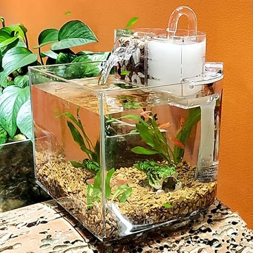 Aquarium/Aquarien Mini Aquarium Tank Desktop Fischschüsseln for kleine Fische Klare Aquarien Wasserfall Outlet mit leiser Pumpfilter Baumwolle Desktop-Aquarium von EVSER