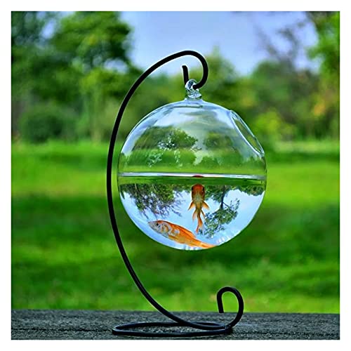 Aquarium/Aquarien Runde Form Hängen Glas Aquarium Fischschüssel Fischtank Blume Pflanze Vase mit Höhengestell Halter Home Decoration Desktop-Aquarium (Color : Schwarz) von EVSER