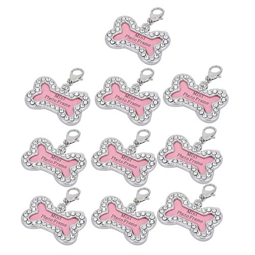 EVTSCAN 10 Pcs Dog Cat Tag Benutzerdefinierte ID Anti-Loss Pet Schriftzug Edelstahl Hängende Halskette von EVTSCAN