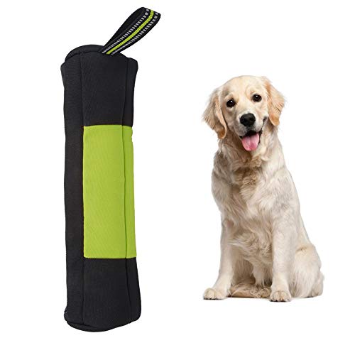 EVTSCAN Haustier-Snack-Tasche, Oxford-Stoff, tragbarer Outdoor-Haustierhund, Welpen-Hundetraining, Snack-Belohnungsbeutel(L-Grün) von EVTSCAN