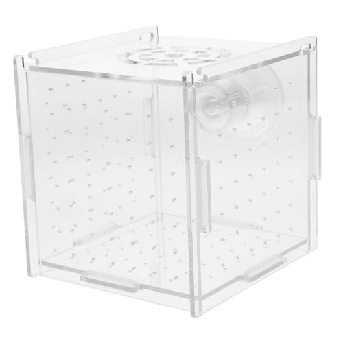 EXAOMBLE Box Isolationsbox Für Aquarien Fischschale Fischnetz Fischzuchtbecken Aquarium Trennwand Zuchtnetz Für Aquarium Isolierung Aquarium Garnelenzucht Transparentes Acryl von EXAOMBLE