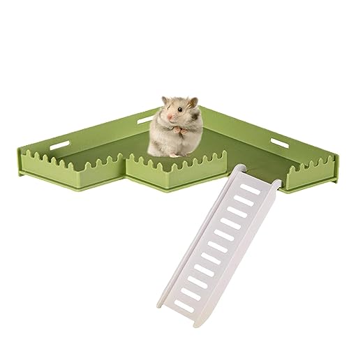 EXBERT Spielstation für Hamster, lustiger Käfig-Spielplatz mit sicherem PVC – Haustierbedarf, Kleintier-Lebensraum Dekor für Hamster, Igel, Eichhörnchen, Rennmäuse, Chinchillas, Papageien, von EXBERT