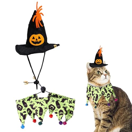 Hexenkostüm Katze - Schal für Halloween-Hut mit Kürbismotiven, Dekoration mit Spinnenglocke, bequem, verstellbar, für Halloween-Partys, Exbert von EXBERT