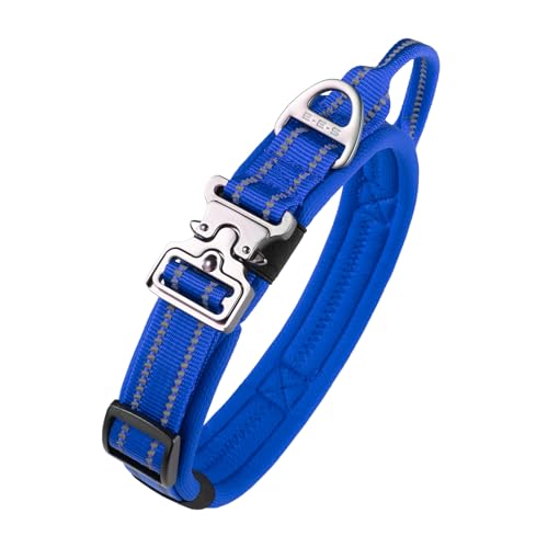 EXCELLENT ELITE SPANKER Dickes Nylon Hundehalsband weich gepolstert reflektierende einstellbare Haustierhalsband mit Heavy Duty Metall Schnellverschluss Schnalle für kleine mittlere große Hunde(BLU-S) von EXCELLENT ELITE SPANKER