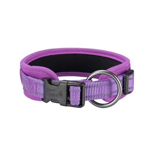 EXCELLENT ELITE SPANKER Klassisches Hundehalsband, PU-Material, Haustierhalsband mit Schnalle, verstellbar, für kleine, mittelgroße und große Hunde, Spazierengehen, Training, Schwarz, Rot, Blau (Lila, von EXCELLENT ELITE SPANKER