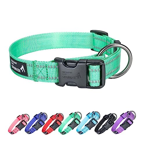 EXCELLENT ELITE SPANKER Nylon Hundehalsband,Verstellbares Reflektierendes Hundehalsband,Hundehalsband Kleine Hunde für Training, Laufen(GRN,M) von EXCELLENT ELITE SPANKER