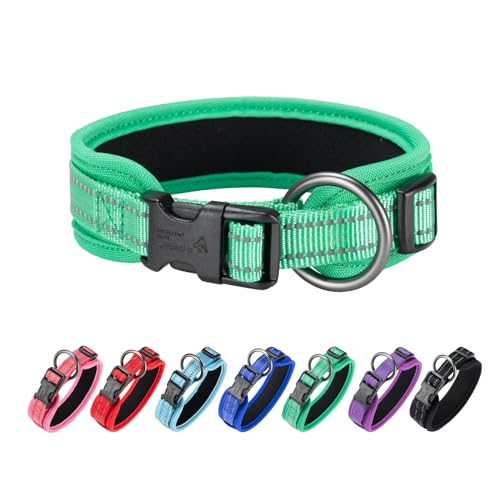 EXCELLENT ELITE SPANKER Premium Hundehalsband Ultra Comfort gepolstertes Hundehalsband mit Schnellverschluss Super einstellbar für alle Rassen(GRN-XL) von EXCELLENT ELITE SPANKER